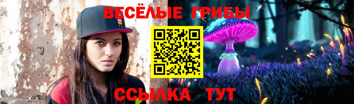 Нововоронеж  Галлюциногенные грибы GOLDEN TEACHER  Вход с VPN 