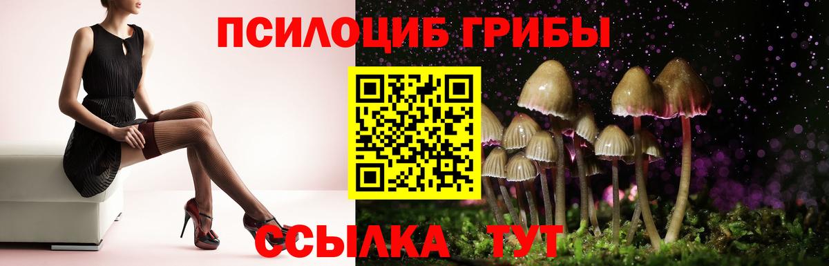 Галлюциногенные грибы мицелий Нововоронеж